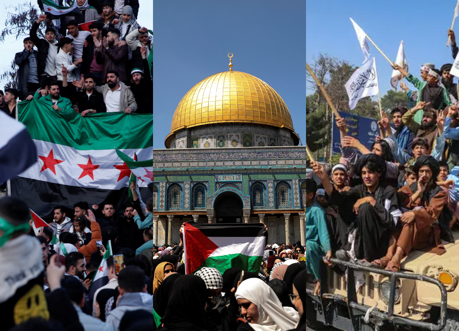 blessed lands appeal